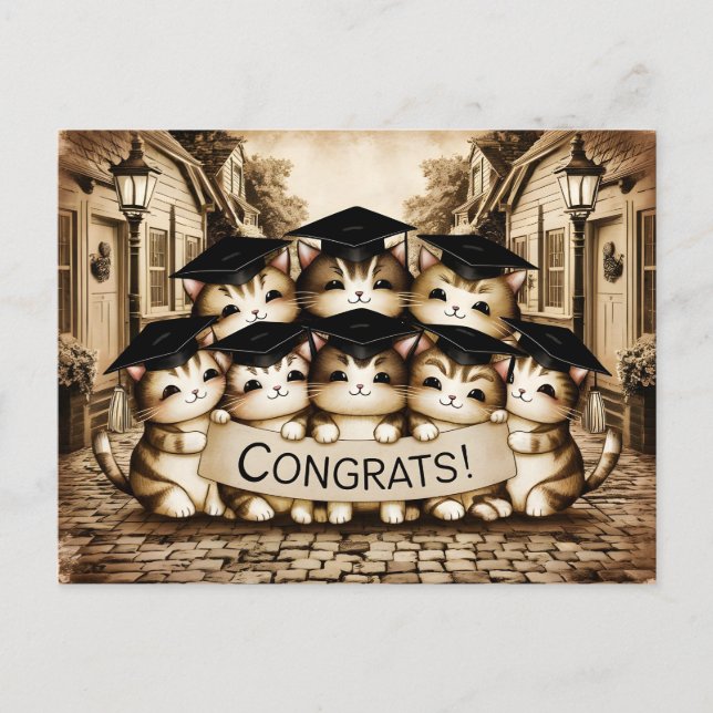 Congrats graduation vintage cats  postcard (Front)