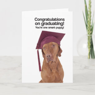 Congrats on Graduating (Vizsla) - Greeting Card