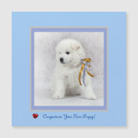 Congrats on New Samoyed Puppy Magnetic Card.