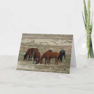 Congrats to New Vet Graduate - Ranch or Farm DVM Card