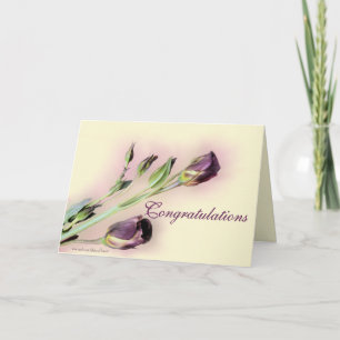 Congratulatins blank-customise any occasion card