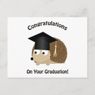 Congratulation on Your Graduation Hedgehog Announcement Postcard