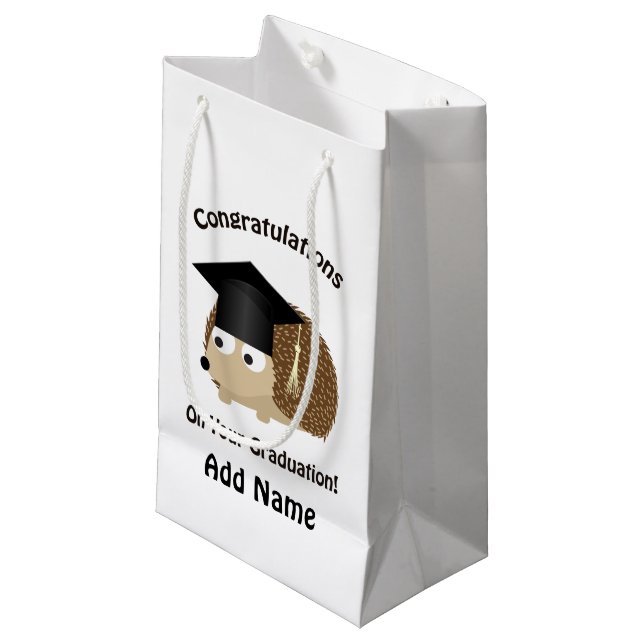 Congratulation on Your Graduation Hedgehog Small Gift Bag (Front Angled)