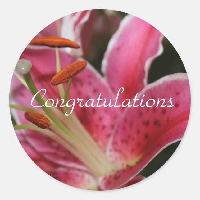 Congratulation Stickers For Gifts (Front)