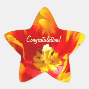 Congratulation! stickers Red Yellow Tulip Flowers
