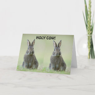 **CONGRATULATION TO COLLEGE GRADUATE** CARD