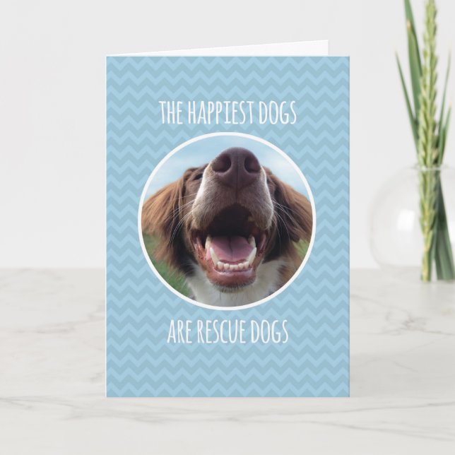 Congratulations, Adopting Rescue Dog, Blue Chevron Card (Front)