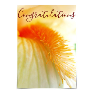 "Congratulations" Bearded Iris Card