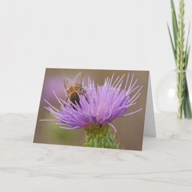 Congratulations Bee on Purple Thistle Photo Custom Card (Front)