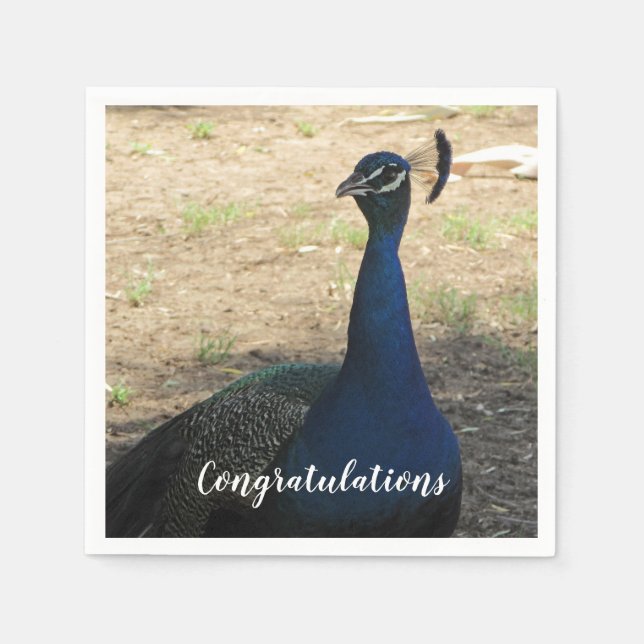 Congratulations Blue Proud Peacock Photo Bird Napkin (Front)
