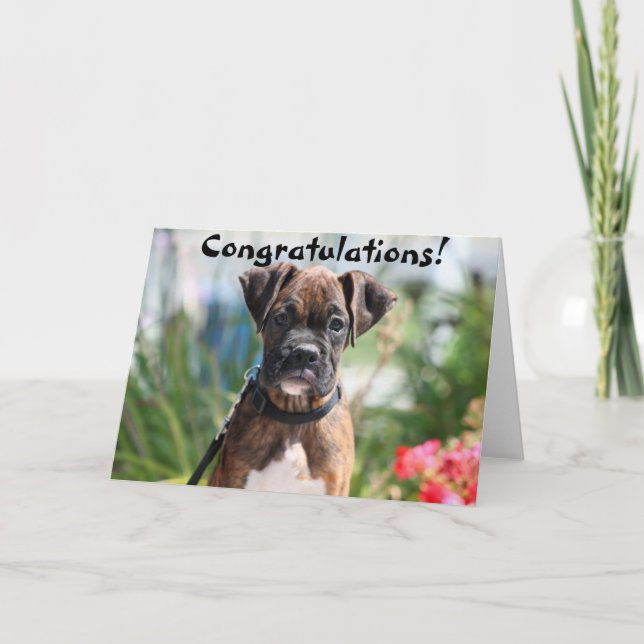 Congratulations Boxer greeting card (Front)