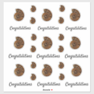 Congratulations Brown Agate Geode Slice Sticker