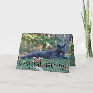 Congratulations Card
