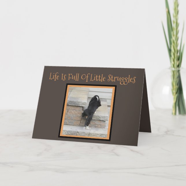Congratulations Card W/Basset Hound Puppy (Front)