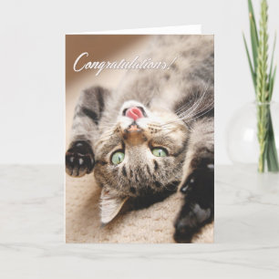 Congratulations Card with Happy Tabby Kitten