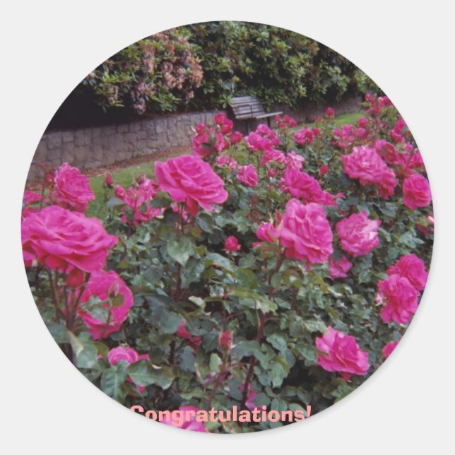 Congratulations! Classic Round Sticker (Front)