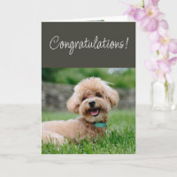 Congratulations Couldn't Be Happier for You!