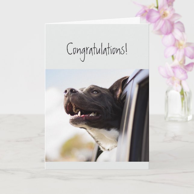 Congratulations Couldn't be Happier Fun Dog Card (Orchid)