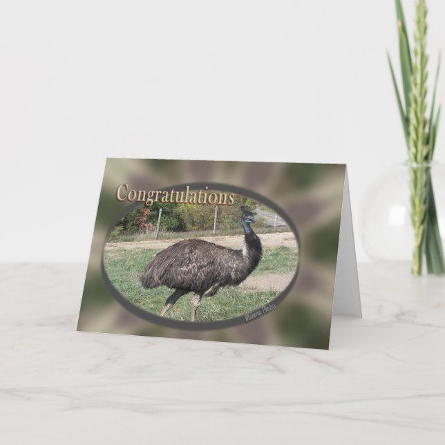 Congratulations-customise Card (Front)