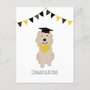 Congratulations Doodle Dog Graduation Cap Postcard