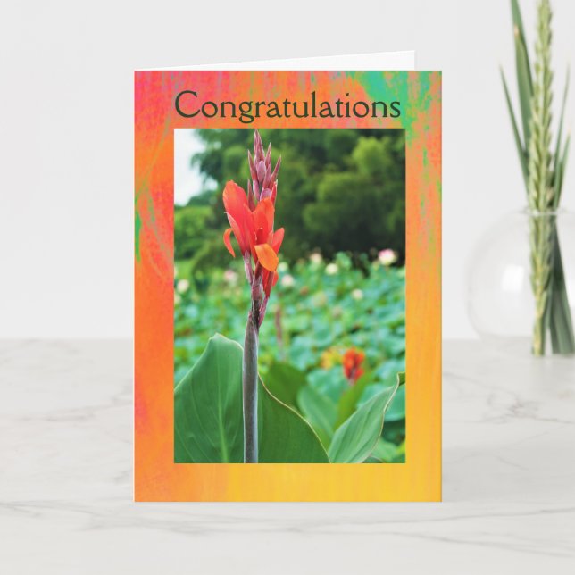 Congratulations Folded Greeting Card by Jo Images (Front)