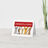 Congratulations for Vet Pets in Bandages
