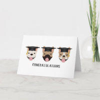 Congratulations French Bulldogs