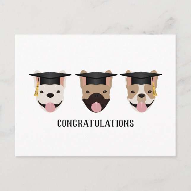 Congratulations French Bulldogs Postcard (Front)