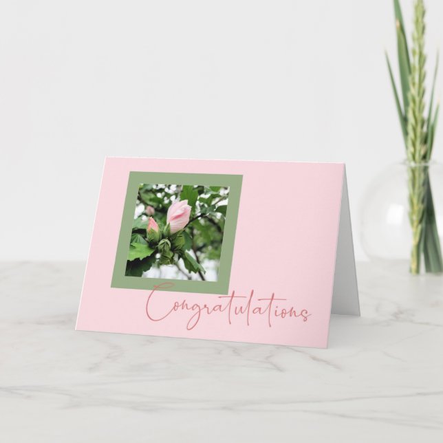 Congratulations - General - Pink Rose of Sharon Holiday Card (Front)