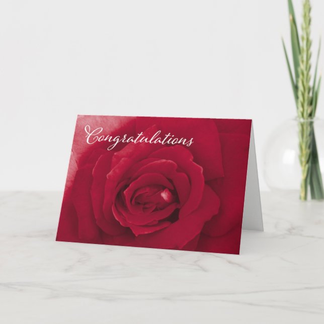 Congratulations - General - Red Rose Holiday Card (Front)