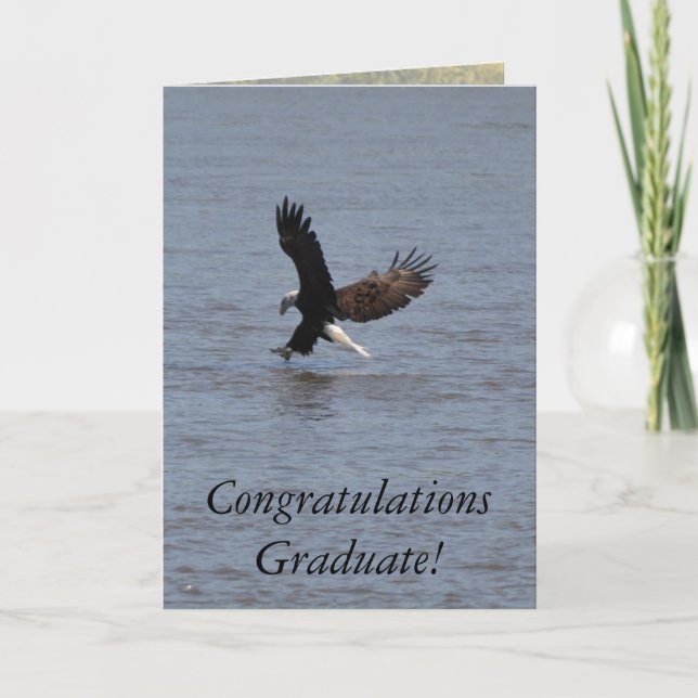 Congratulations Graduate ~ Bald Eagle Card (Front)