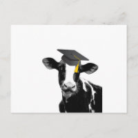 Congratulations Graduation Funny Cow in Cap