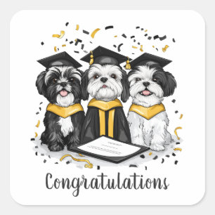 Congratulations Graduation Shih Tzu Dogs Square Sticker