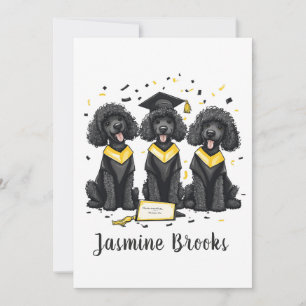 Congratulations Graduation Standard Poodle Dogs Announcement