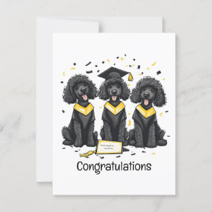 Congratulations Graduation Standard Poodle Dogs Postcard