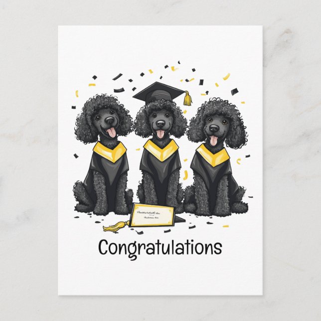 Congratulations Graduation Standard Poodle Dogs Postcard (Front)
