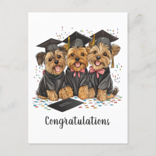 Congratulations Graduation Yorkshire Terrier Dogs Holiday Postcard