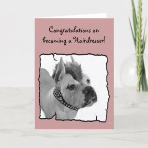 Congratulations hairdresser boxer greeting card