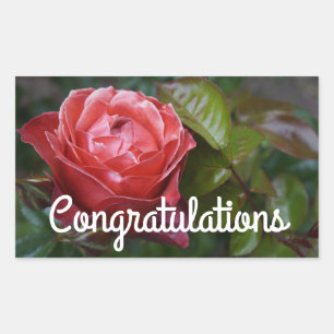 Congratulations Hot Cocoa Rose #2-2 Stickers