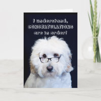 CONGRATULATIONS - HUMOR W/DOG/BLACK-RIM GLASSES