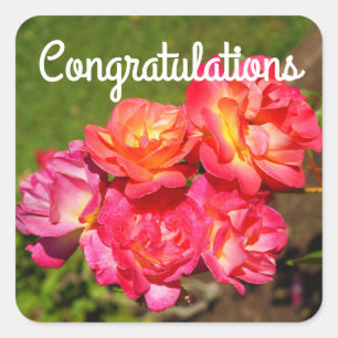 Congratulations Joseph’s Coat Rose #1 Stickers