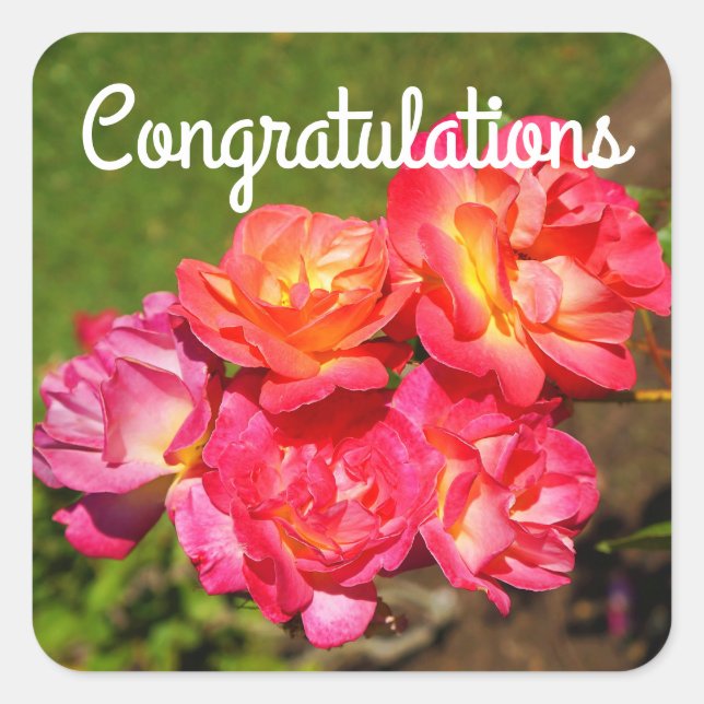Congratulations Joseph’s Coat Rose #1 Stickers (Front)