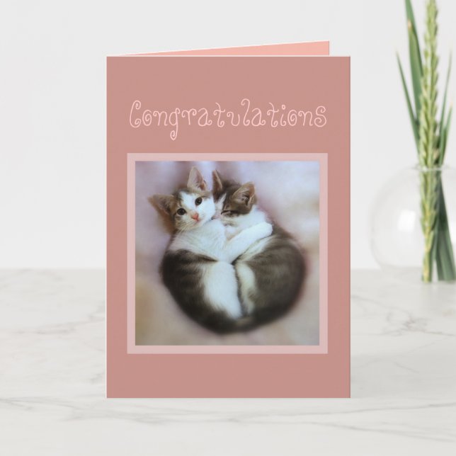 Congratulations Kittens in Love Card (Front)