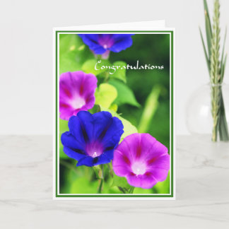 Congratulations - Morning Glories Greeting Card