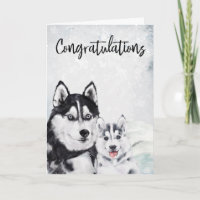 Congratulations New Baby Mama Husky Dog 