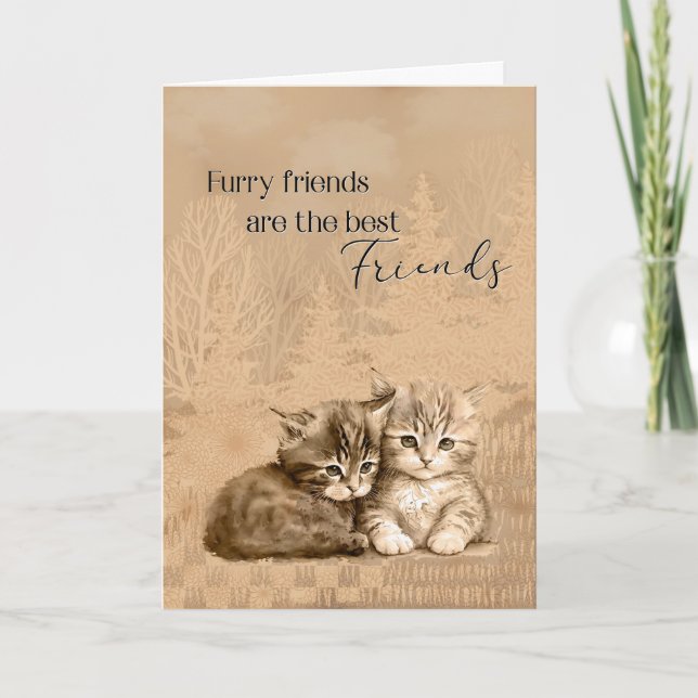 Congratulations New Cat or Kitten Furry Friends Card (Front)