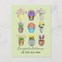 Congratulations New Home Cute Potted Flower Plants