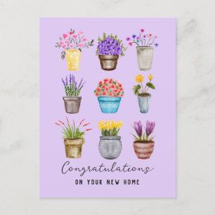 Congratulations New Home Stylish Potted Flowers Postcard