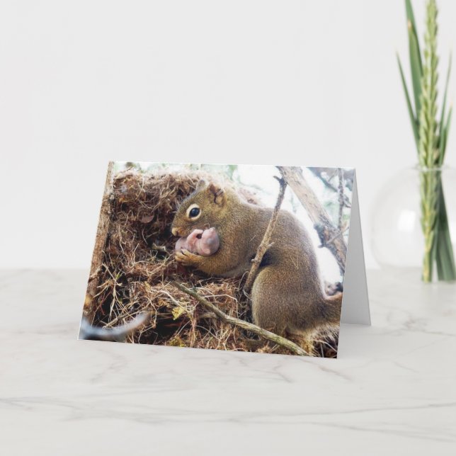 Congratulations New Mummy Baby Card (Front)