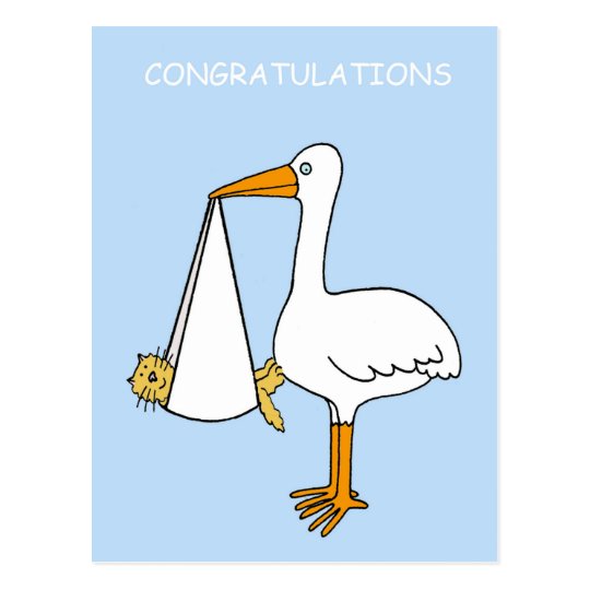 Congratulations, New Pet Cat/Kitten, Cartoon. Postcard | Zazzle.co.uk